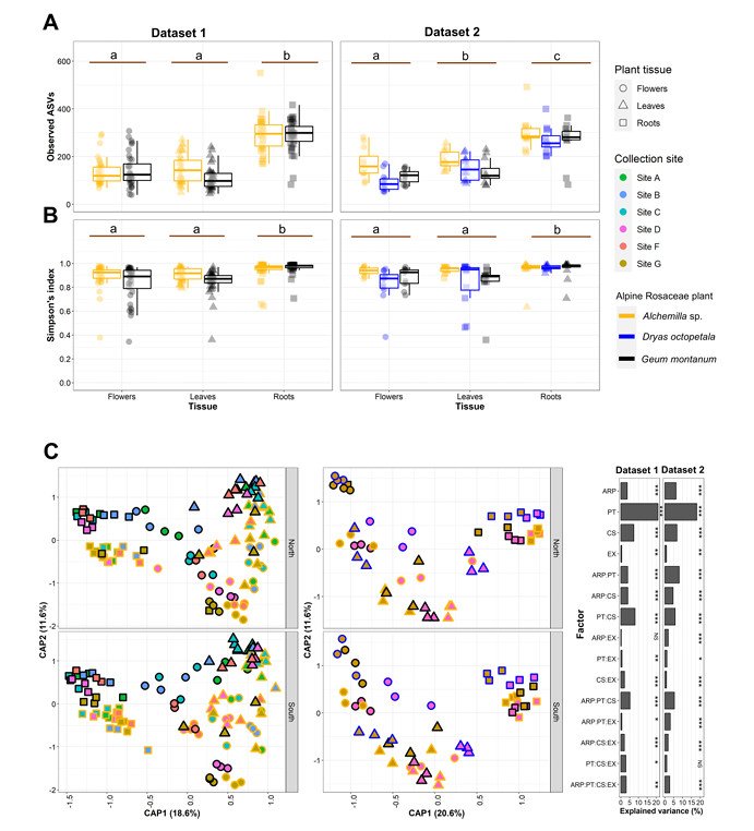 The diversity of endophytic bacterial communities linked to alpine Rosaceae plants (Marian et al., 2025)