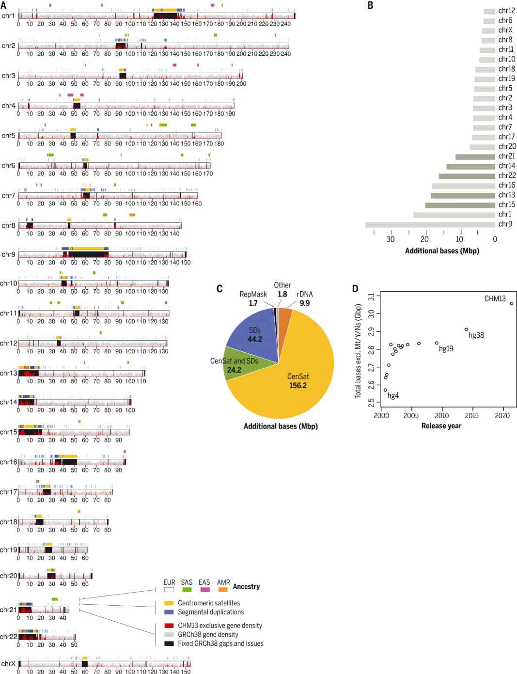 Introduction to The Complete Sequence of a Human Genome