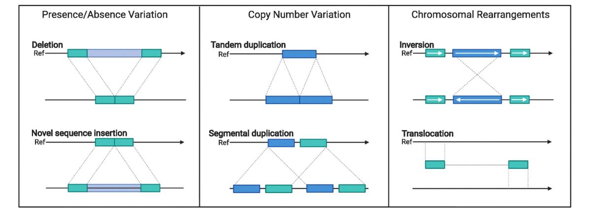 Long-read Sequencing for Crop Genomics and Improvement