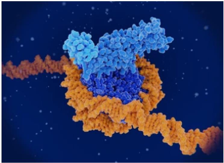 Long-read Sequencing for DNA 5-methylcytosine (5mC) Analysis