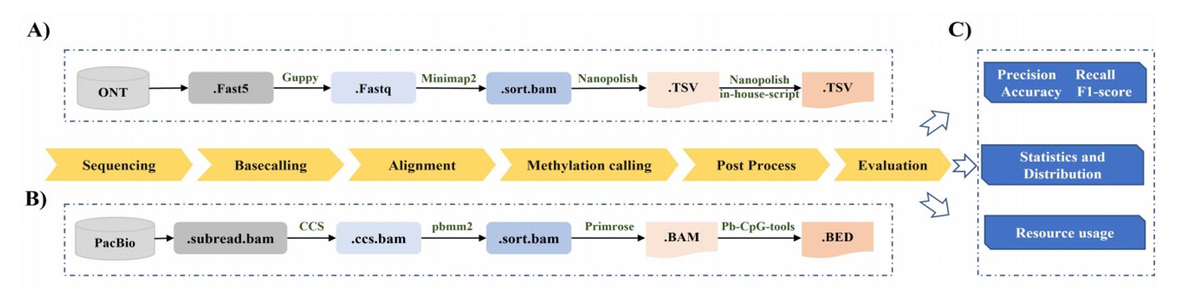 The pipelines of methylation calling for Nanopore and PacBio HiFi sequencing technologies, and the benchmark strategy.