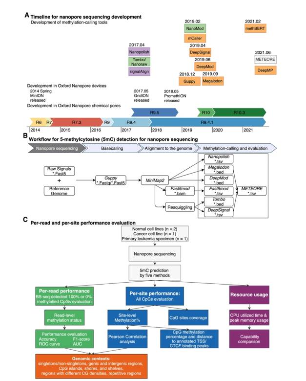 Technological development of methylation-calling tools and benchmark strategy of Oxford Nanopore Technologies (ONT).