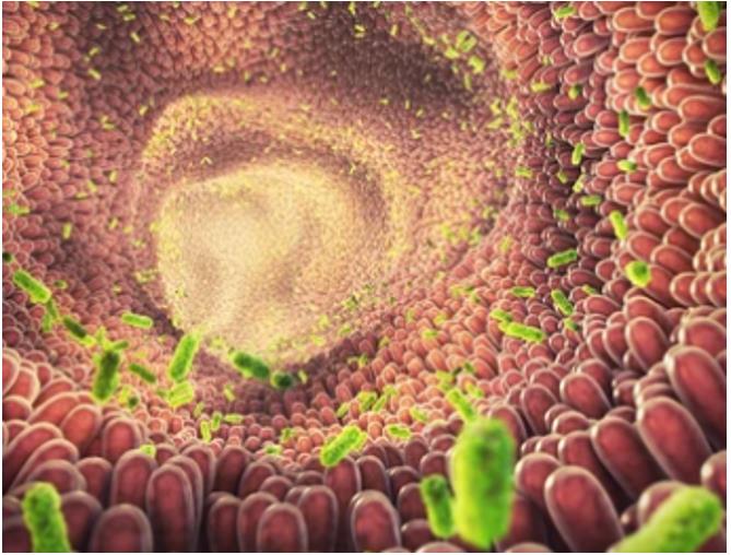 Long-read Sequencing for Microbiome Metagenomics