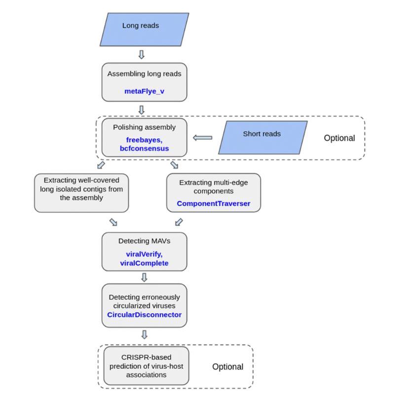 Graphical representation of the viralFlye pipeline.