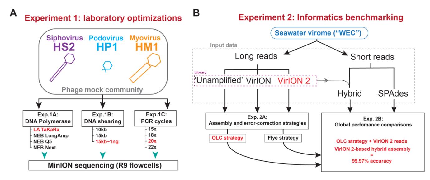 Overview of wet lab optimization experiments and informatic benchmarking.