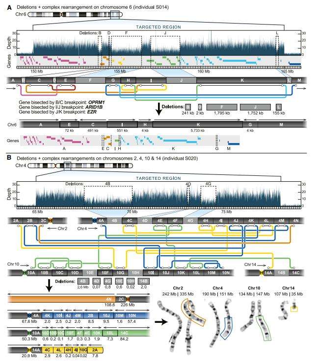 Long-read Sequencing Reveals Unseen Genomic Variants