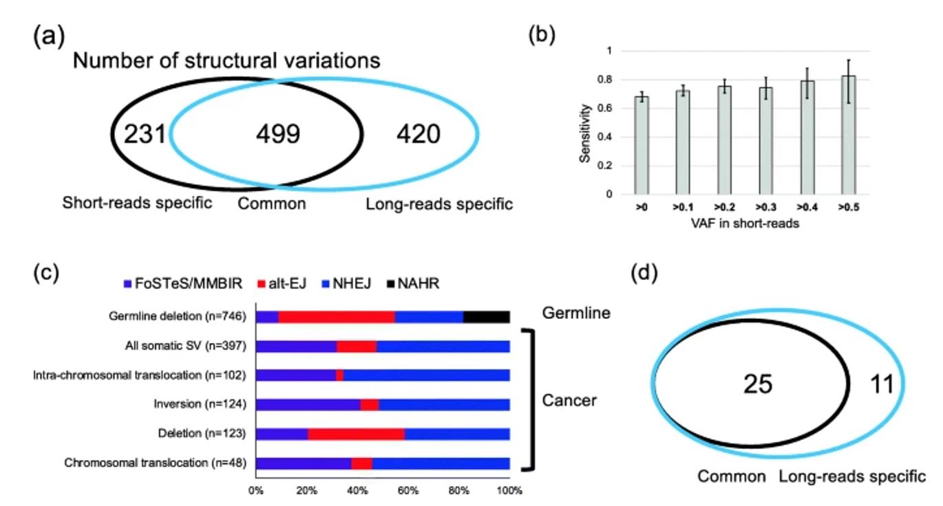 Somatic SVs in liver cancers.