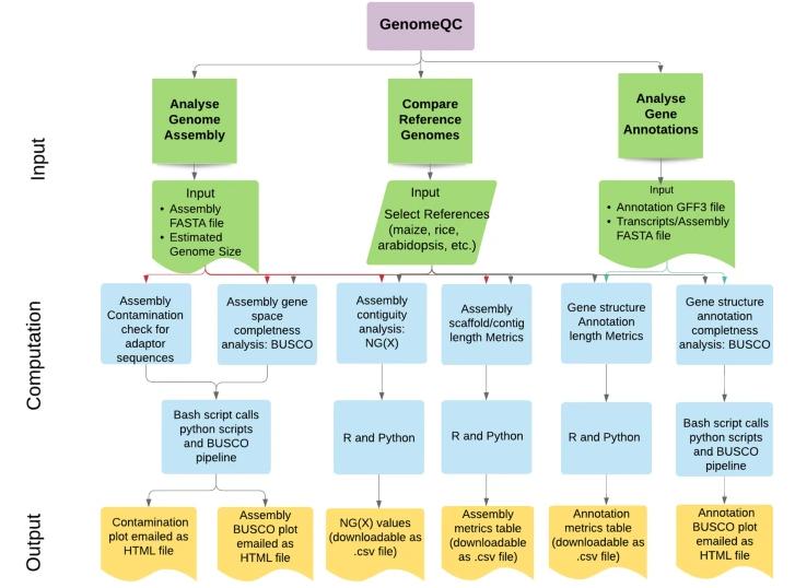 Methods and Tools for Assessing the Quality of Genome Assemblies