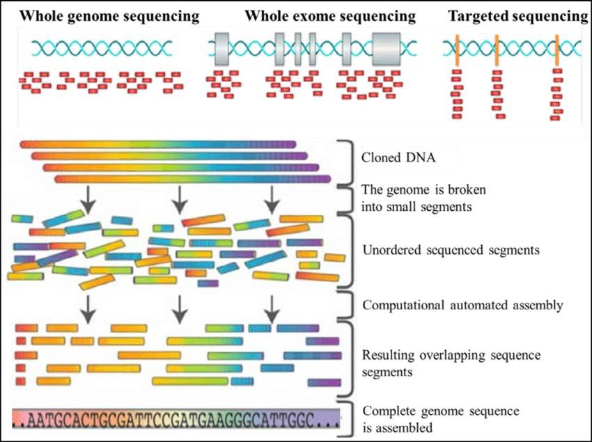 Newest Whole Genome Sequencing Trends in 2024