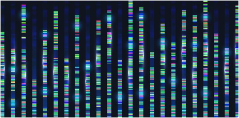 Overview of Long-read Sequencing