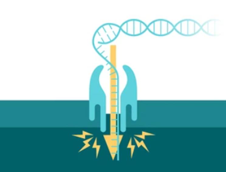 Overview of Nanopore Sequencing 