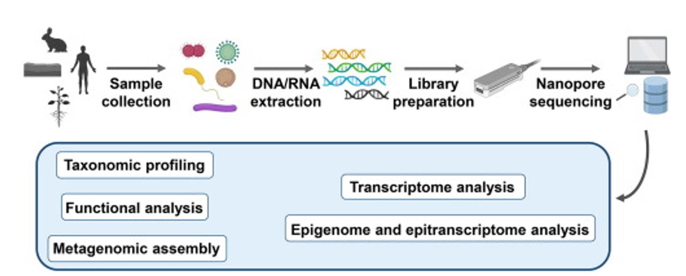 Nanopore sequencing and its application to the study of microbial communities.