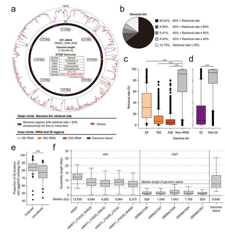 PacBio HiFi Metagenomics