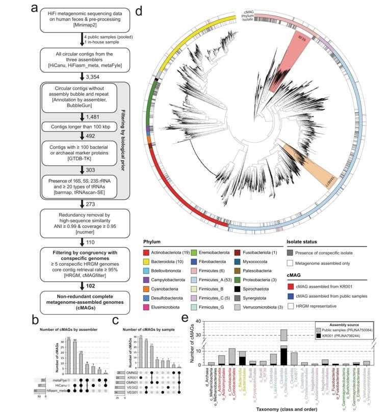 Assembly of 102 complete metagenome-assembled genomes (cMAGs) from human fecal high-accuracy long-read (HiFi) metagenomic sequencing samples.