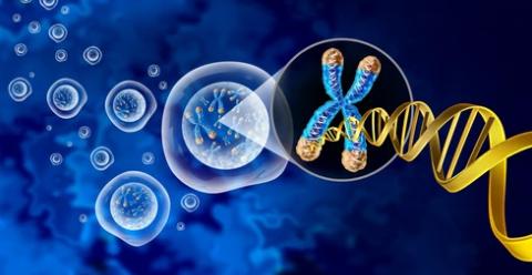 PacBio SMRT Sequencing for Human Telomere Sequence