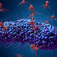 PacBio SMRT Sequencing