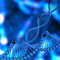 PacBio SMRT Sequencing