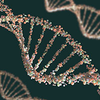 Nanopore Full-Length cDNA Sequencing