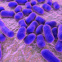 Microbial Genomics with Long-Read Sequencing