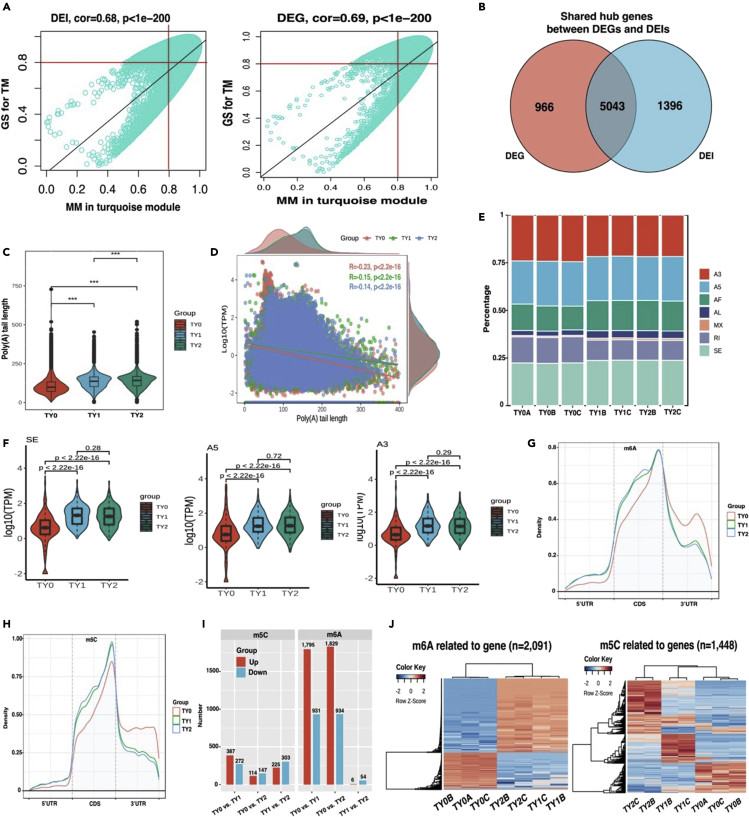 Analysis of WGCNA, poly(A) tails, alternative splicing, and RNA modifications uncovers the hub genes associated with testis weight (Liu et al., 2023)