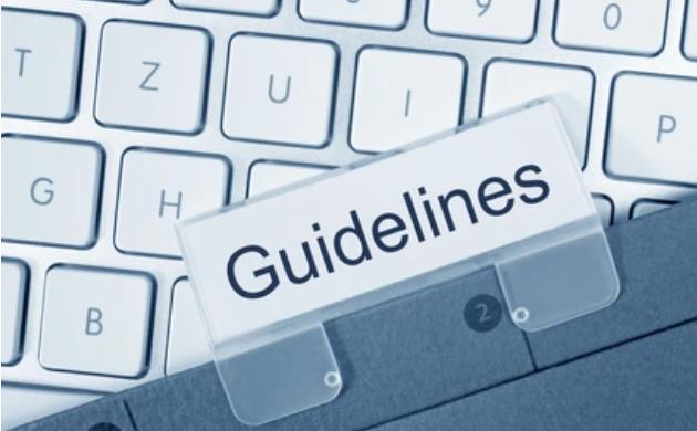 Sample Submission Guideline