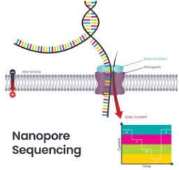 Saturated Pores for Nanopore Operation