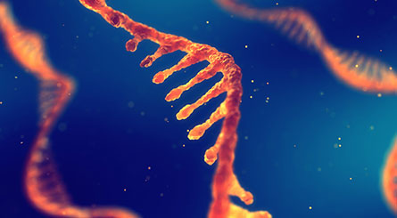 RNA sequencing