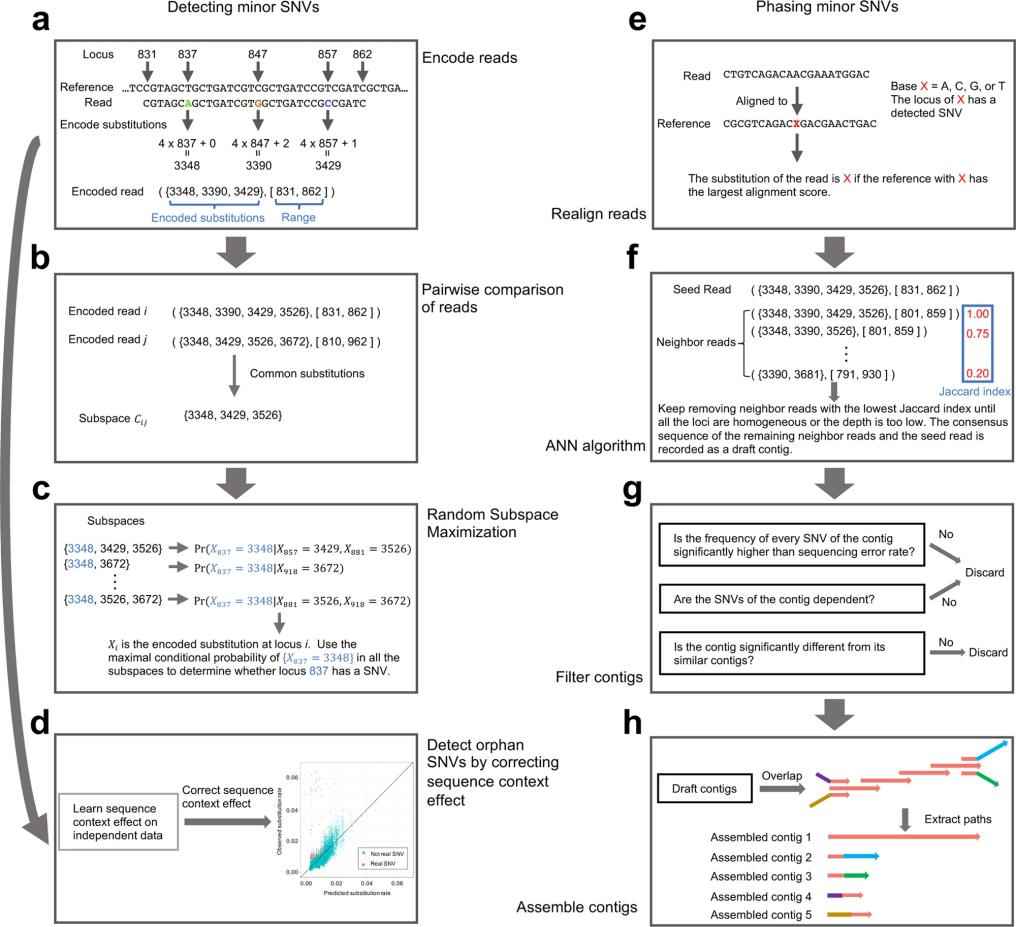 Single Nucleotide Variants Analysis