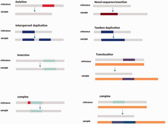 Structural Variation Analysis