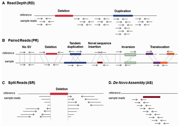 Structural Variation Analysis