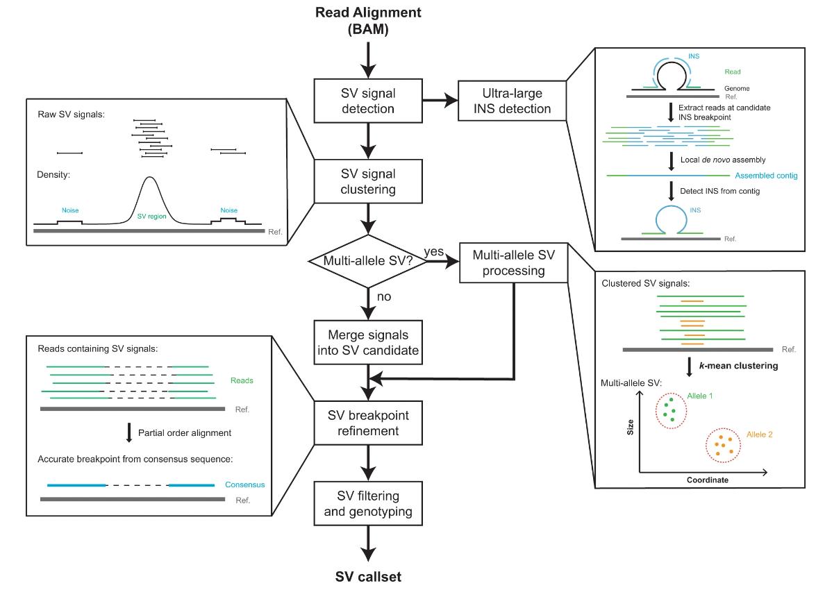 Structural Variation Analysis