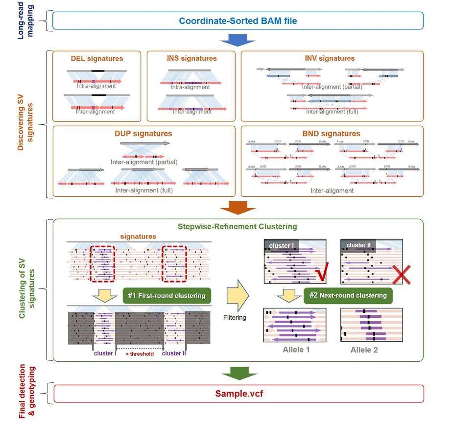 Structural Variation Analysis