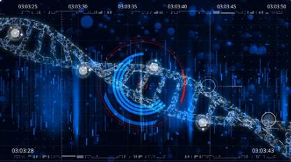 Structural Variation Analysis