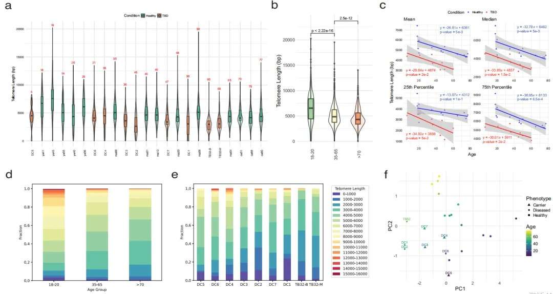 Differentiating aging and disease in healthy people based on telomere.