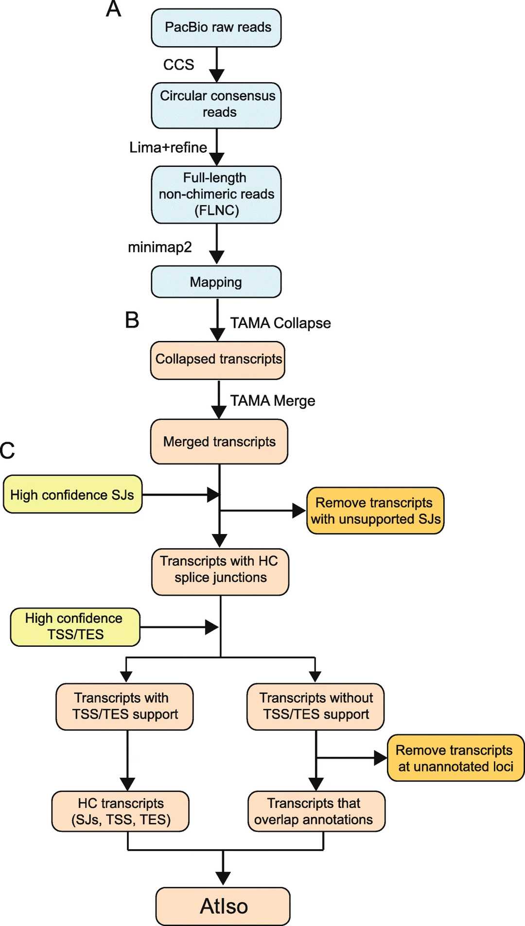Iso-Seq analysis workflow.