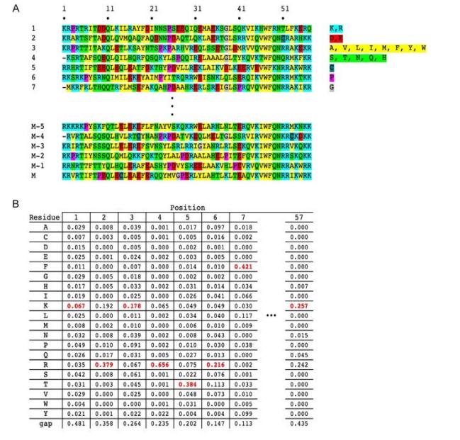 What is a Consensus Sequence