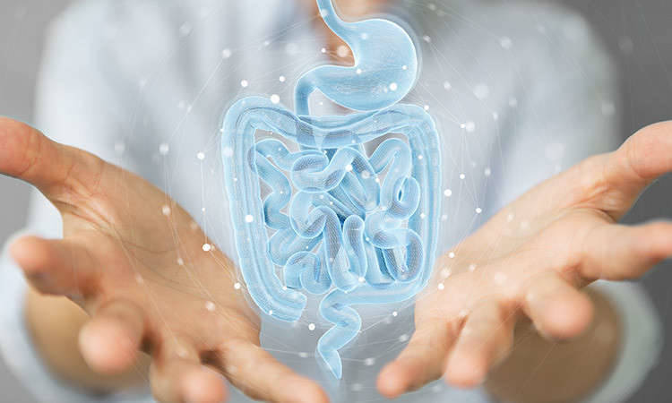 What can the gut microbiome