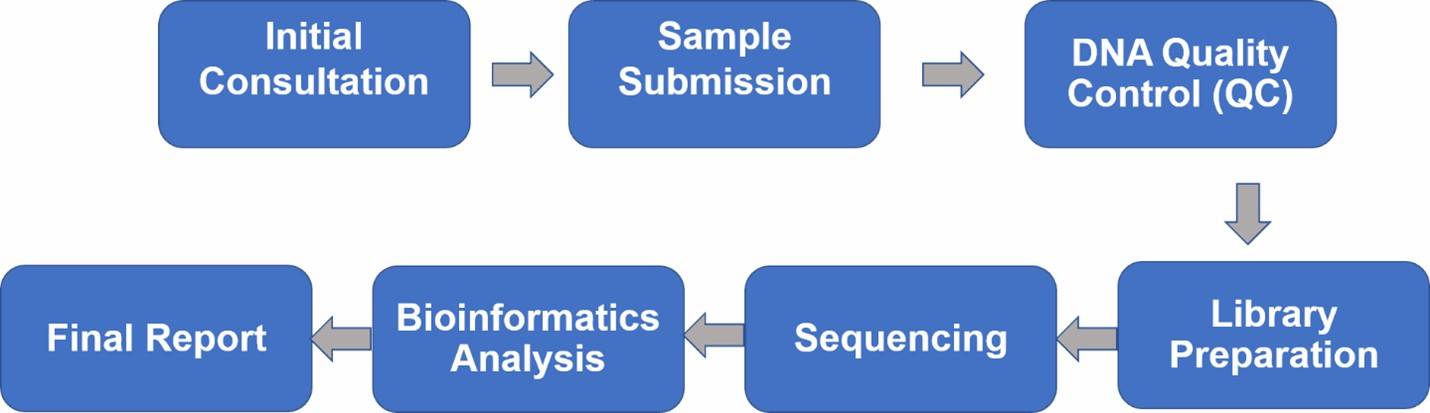 The Workflow of Bacterial 16S rRNA Sequencing.