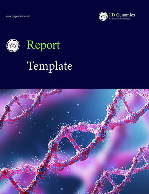 Report Template