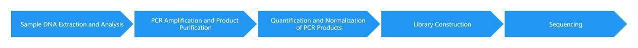16S/18S/ITS Amplicon Sequencing Overview