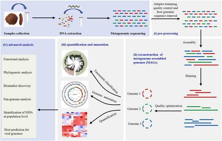 Figure 2. Workflow of a typical Shotgun Metagenomics Study. (Zhou et al., 2022)