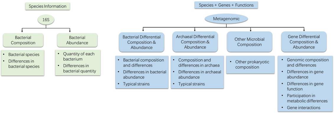 Figure 4. Comparative Analysis of Analytical Content between Metagenomics and 16S Sequencing.