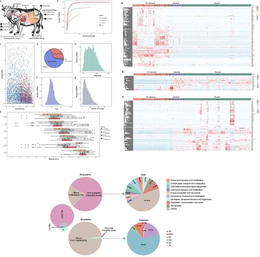 Figure 6. Case Examples Depicting Analytical Results from Metagenomic Sequencing. (Tong et al., 2022)