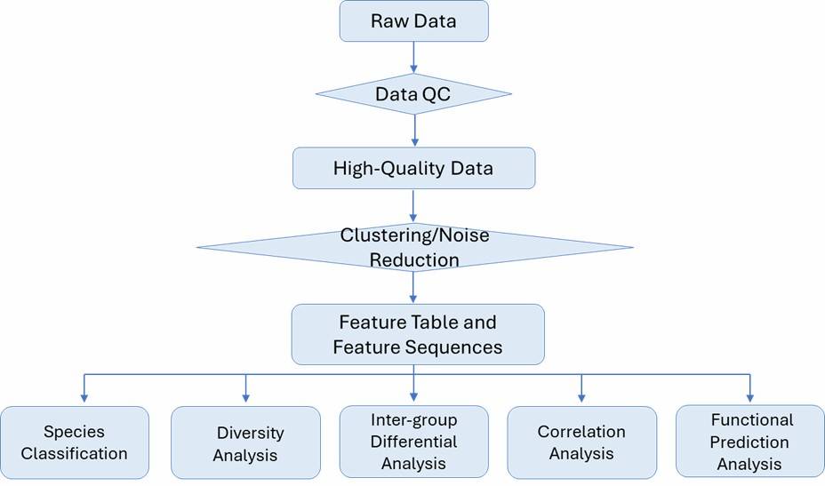 The Bioinformatics Analysis of Bacterial 16S rRNA Sequencing.