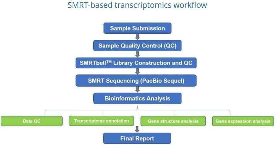 2bRAD-M Analysis for Microbiome