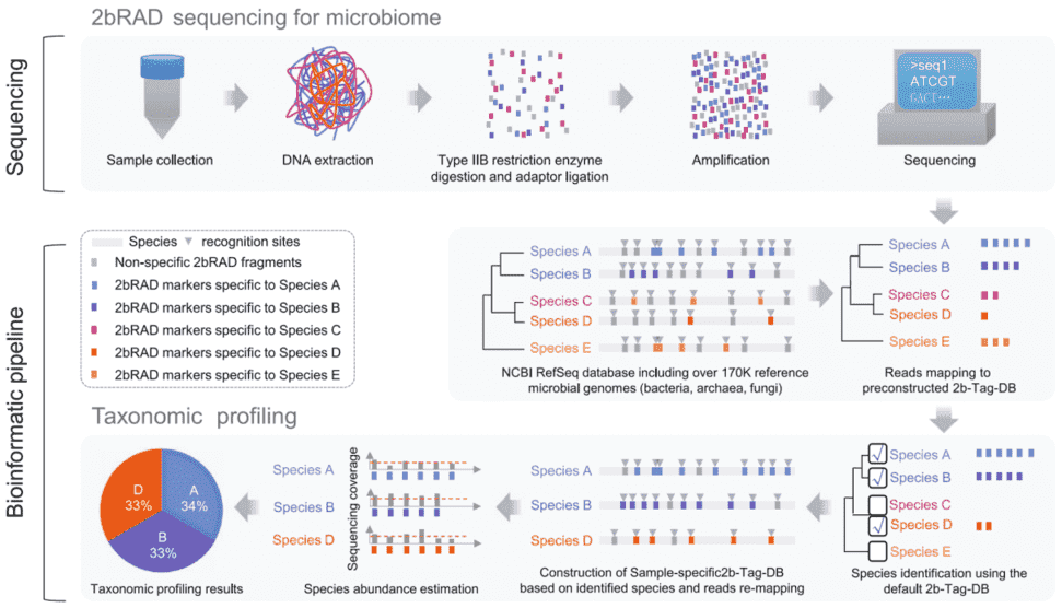 2bRAD-M Analysis for Microbiome