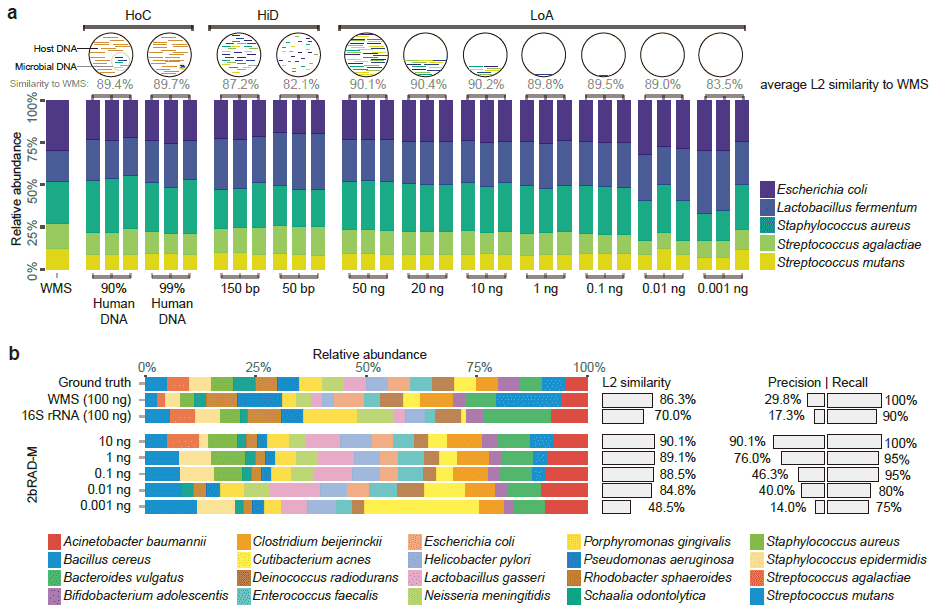 2bRAD-M Analysis for Microbiome