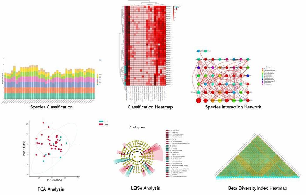 The Bacterial 16S rRNA Sequencing Results Display.