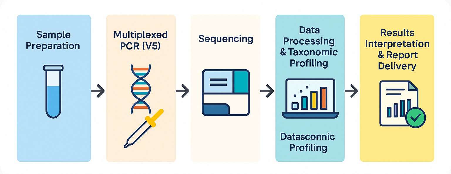 microbial profiles process of 5R 16S sequencing