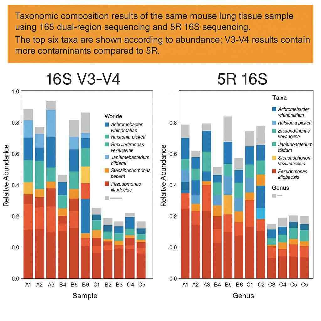Microbial profiles from 5R 16S and V3-V4 sequencing